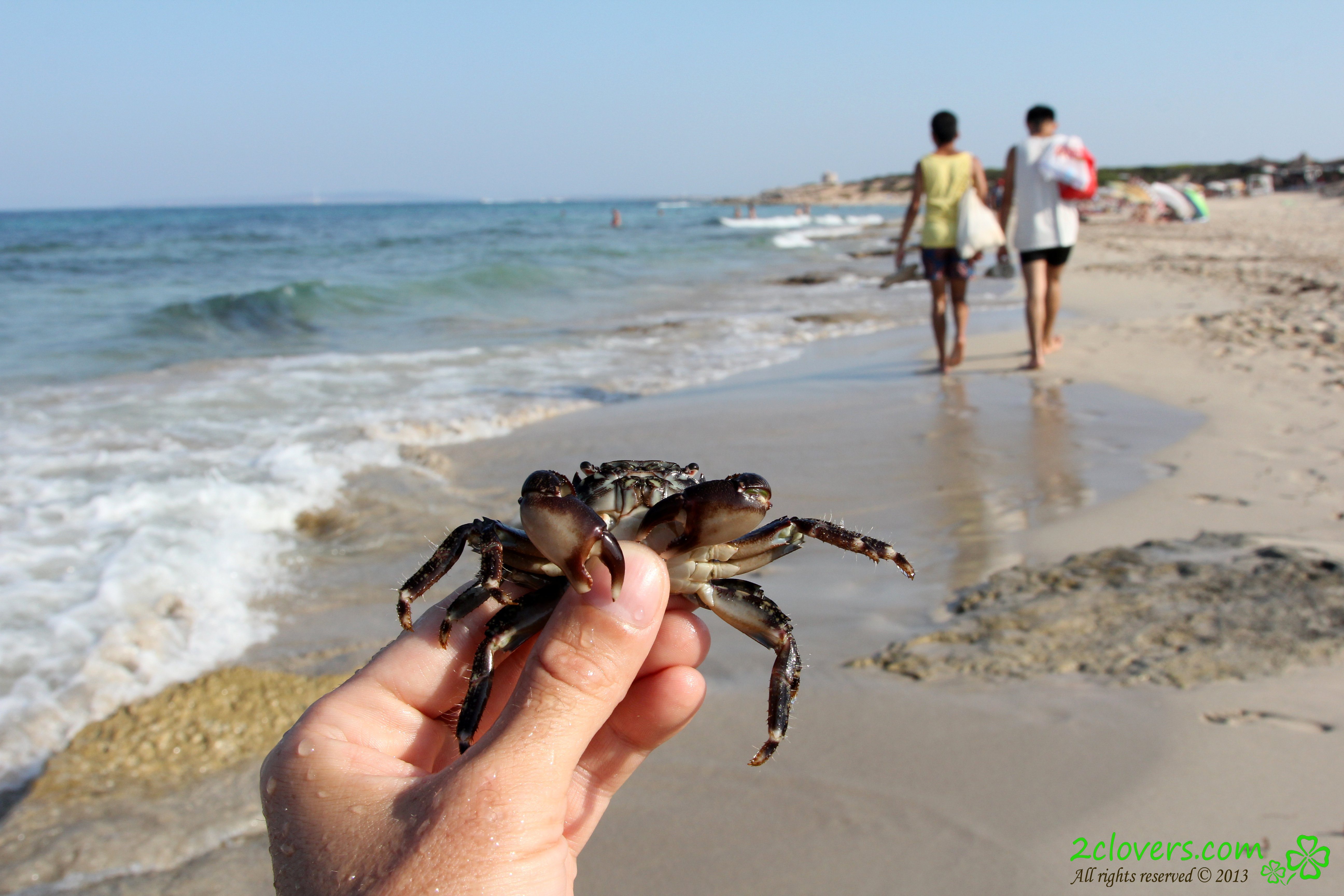 Imagen etiquetada con: 2clovers.com, Beach, Es Cavallet Beach Part 1, Sexy Wallpaper