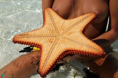 Imagen etiquetada con: Skinny, Bikini Life Trip to Iguana Island, Blonde, Katya Clover - Mango A, katya-clover.com, Nature, Russian, Sexy Wallpaper, Small Tits